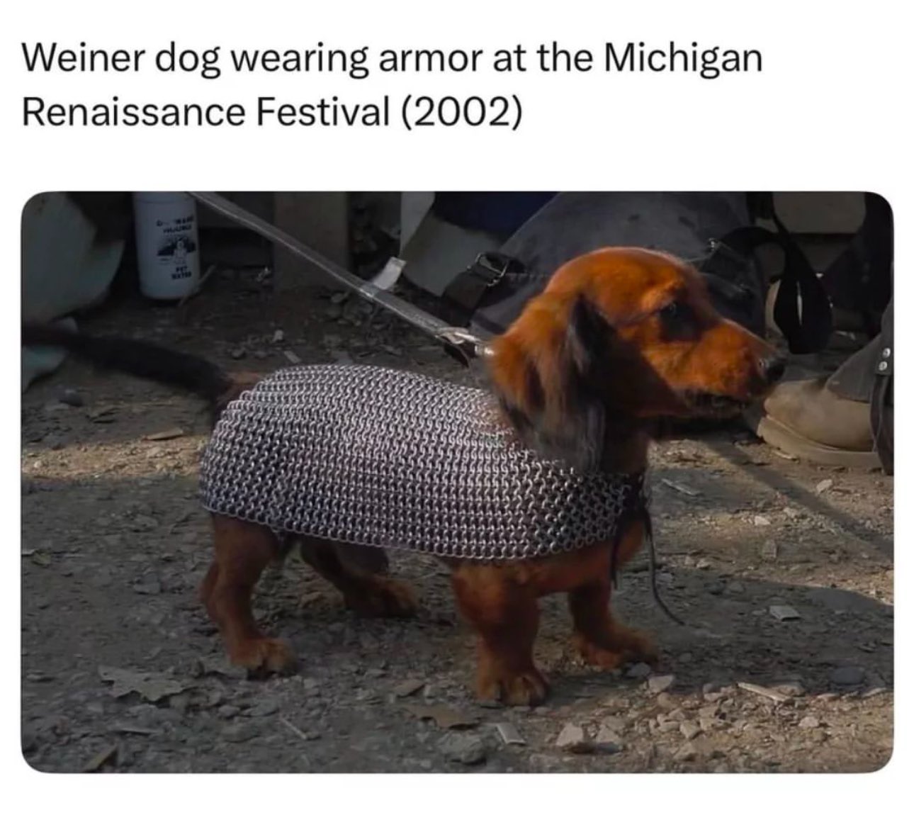weinerknight.jpg