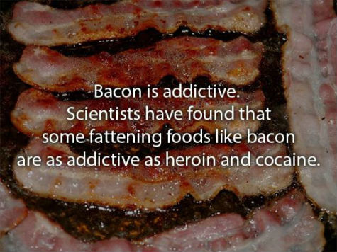 wellcooked_bacon_facts_640_02.jpg