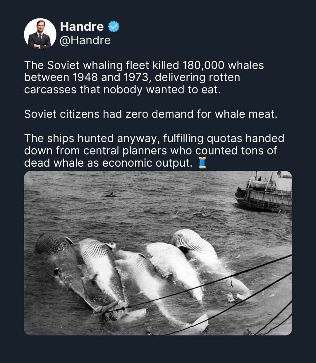 whales.jpg