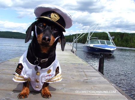 wiener-dog-captain-costume.jpg