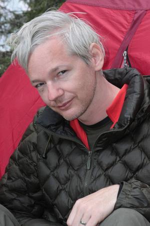 wikileaks_narrowweb__300x451,0.jpg