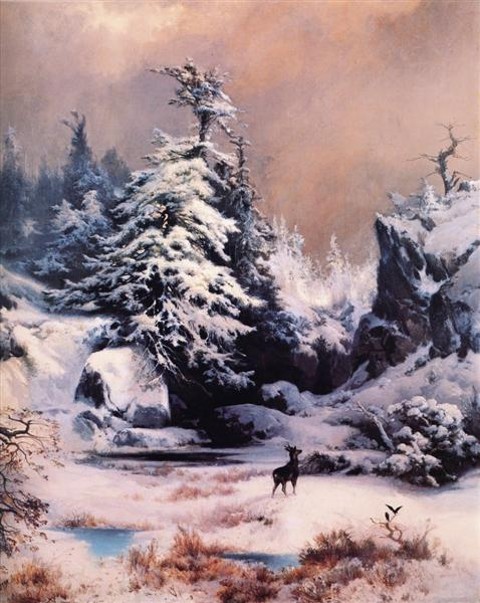 winter-in-the-rockies-1867.jpg!Large.jpg
