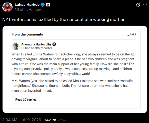workingmotherhypocrite.png