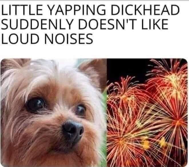 yip.jfif