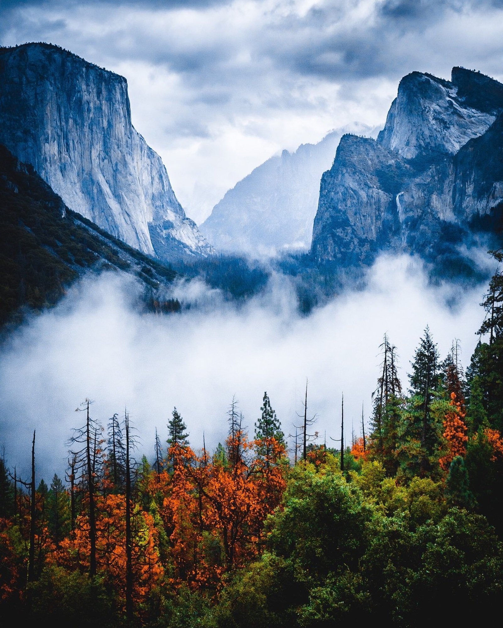 yosemitenationalpark.jpg