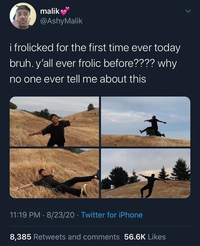 Frolic.jpg