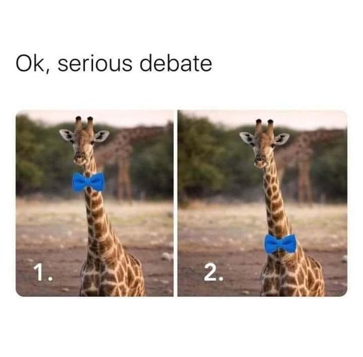debate.png