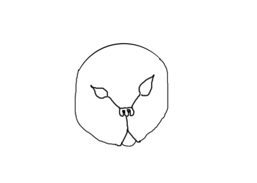 howdrawcat03.png